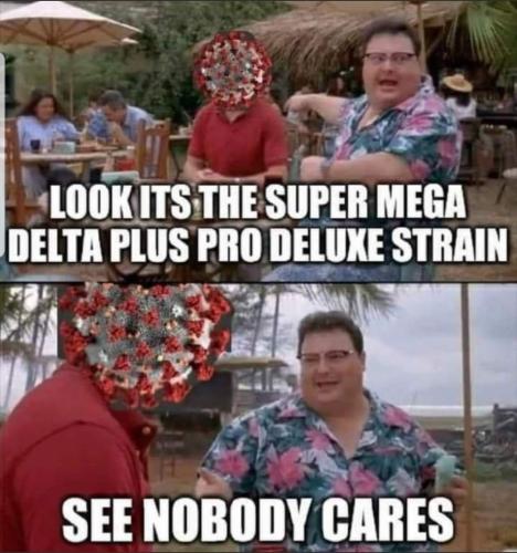 Screenshot_20240202-120821_MeWe