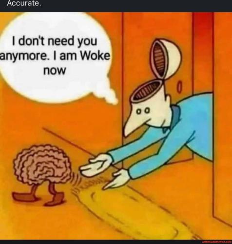 3d8019431a3c7788d564572db62eb00450a7d2d3fae4da6b8198ce03b278ad2d_1