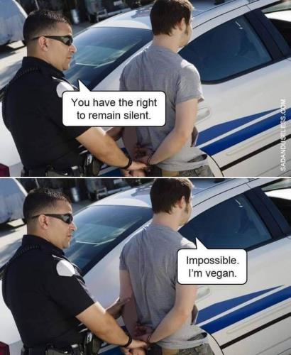 FB_IMG_1707623139362