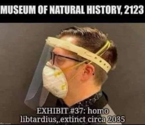 FB_IMG_1708568772152