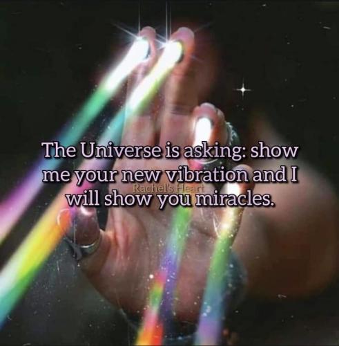 430123571_709582628019044_1643531369627240344_n