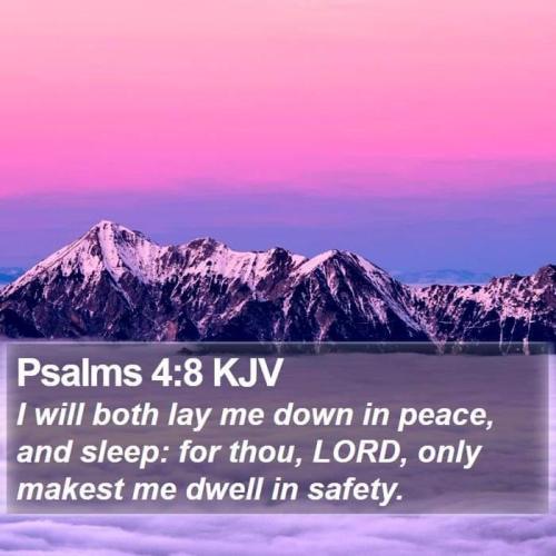 2efbb412-3b08-44a7-a253-8a2b518ec255