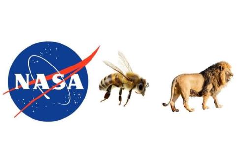 FB_IMG_1708689419504