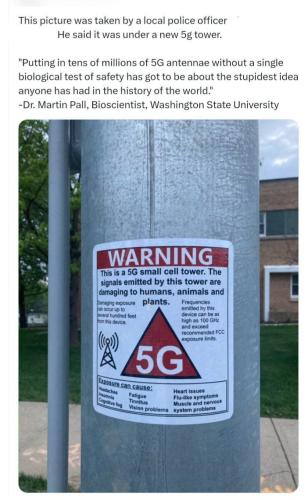 IMG_20240217_062345_229