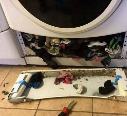 dryer lint