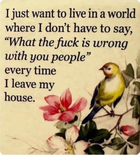 sngine_9a78f46280a963c941d540caea1e7be5