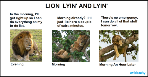 lions_morning