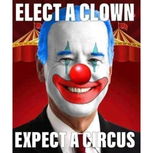 InstaFit_17069273727893090670945439524441