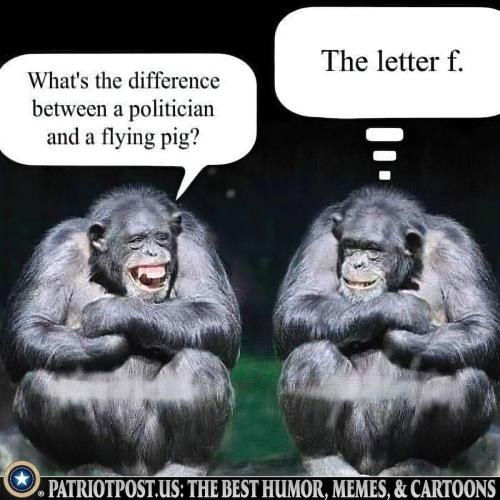 0000000000000000000000000000000000000000000000000000000000000000000000000000000000000000000000000000000000000000000000000000000000000000000000000000000000000000000000000000000000000000000000000000000000000pol