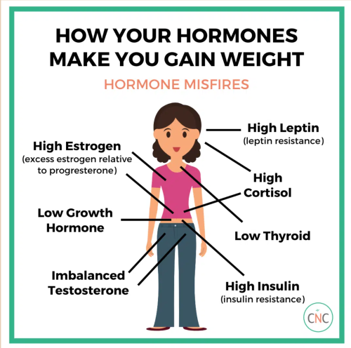 Hormones and weight gain or loss