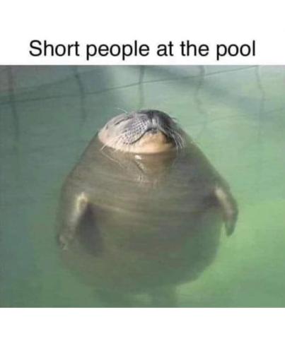 FB_IMG_1707064012342