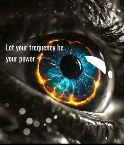 428690091_397713072943499_1606183185980728616_n
