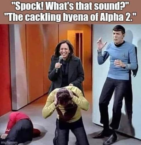 428671872_364217553153893_5361611673582423018_n