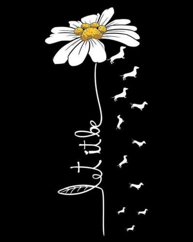 19:20:06 GMT-0500