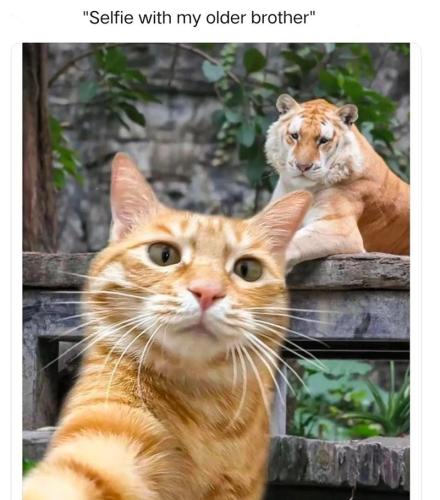 selfie-with-my-older-brother