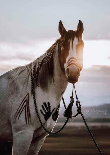 FB_IMG_1707496811730