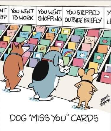 FB_IMG_1707980490694