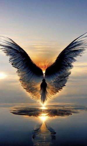 FB_IMG_1707449570002