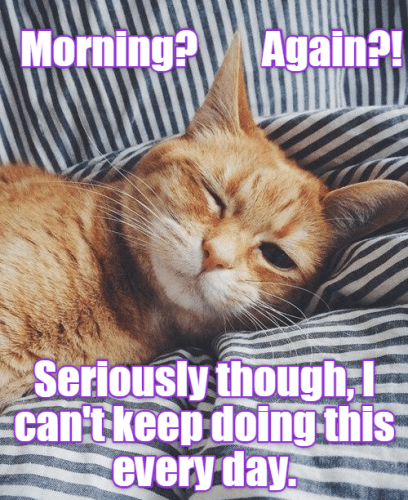 why-wasnt-this-explained-to-me