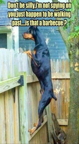 9c5d675e2cf7874361e9b26067bfc913