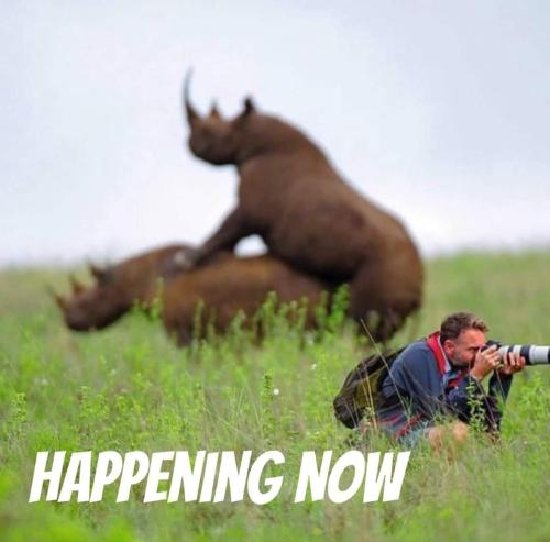 FB_IMG_1707849700832