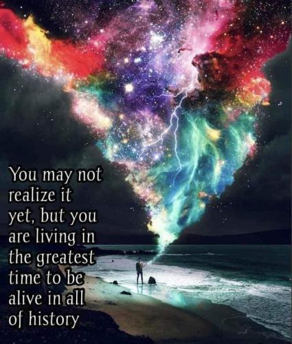 IMG_20240203_143333_384