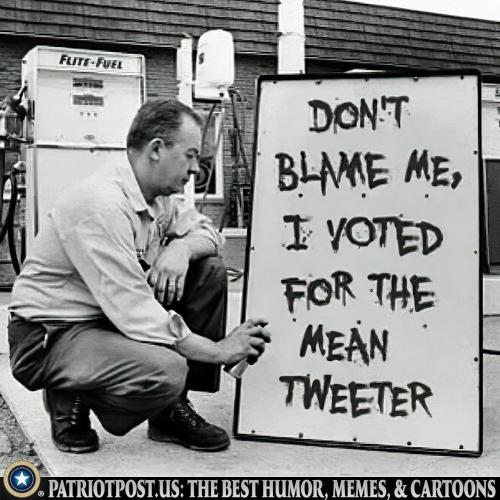 01HQPWJFX169RP4X472EHXS6J0