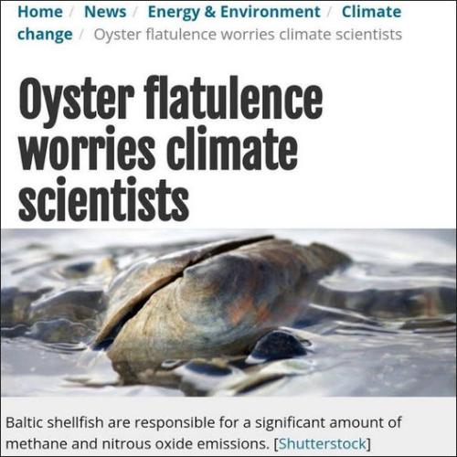 oyster flatulence