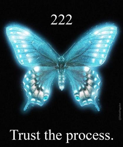 427984055_384075481013067_9108135864849015681_n