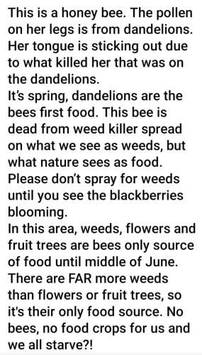 Screenshot_20240224-203450_Facebook