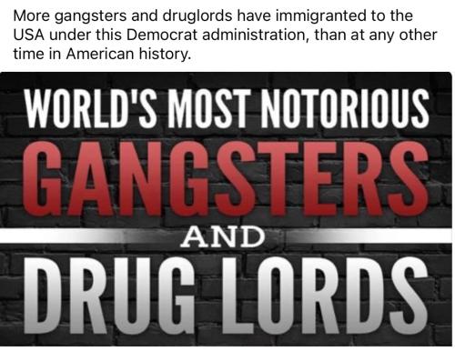 86FD560B-F57B-40E2-96F7-89C4C87D24EA