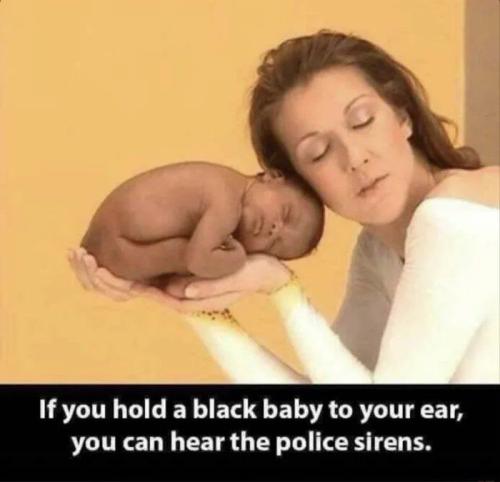 IMG_20240211_093913_456