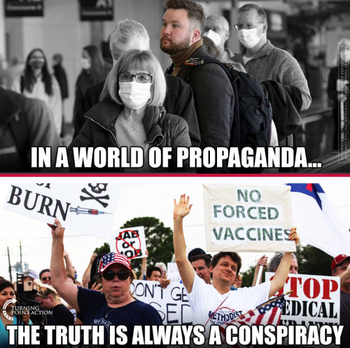 Screenshot 2024-02-11 084526