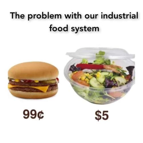 f3e53400-5998-4d47-831e-499ff9ac1b21