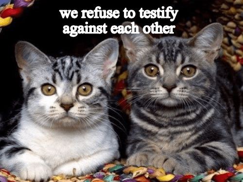 2d2ff2219045288bc55528a5b40e0b48