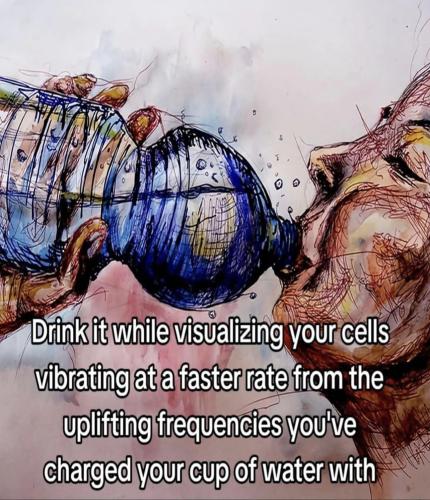 425443601_1117017263076208_4088982492605985540_n