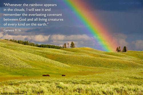 Genesis 9_16