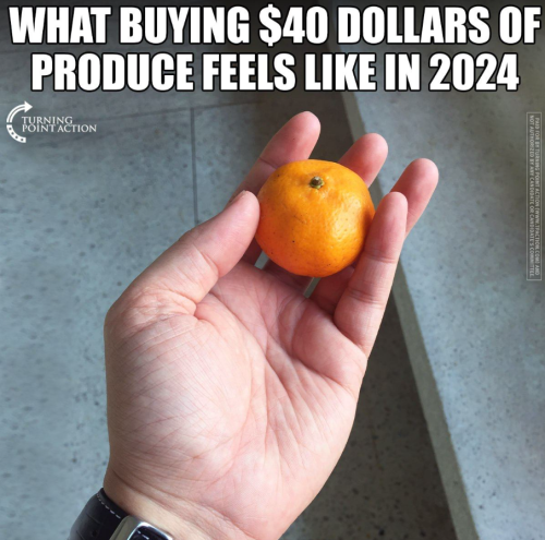 Screenshot 2024-02-06 065216