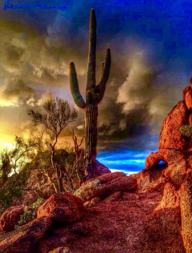 AC64DEB1-7DA4-490D-A23B-A59FF0A26C78