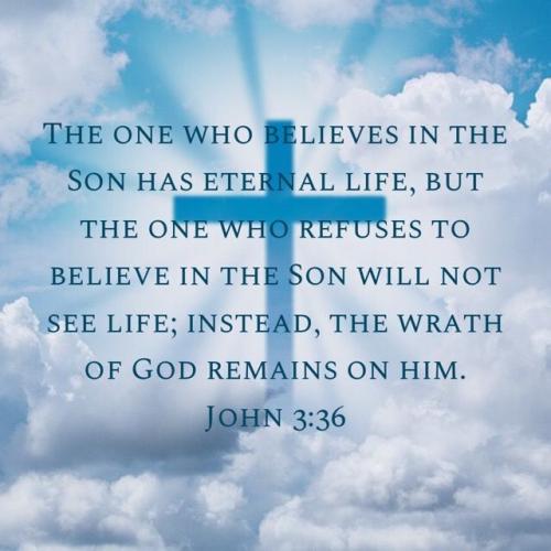 John 3 36