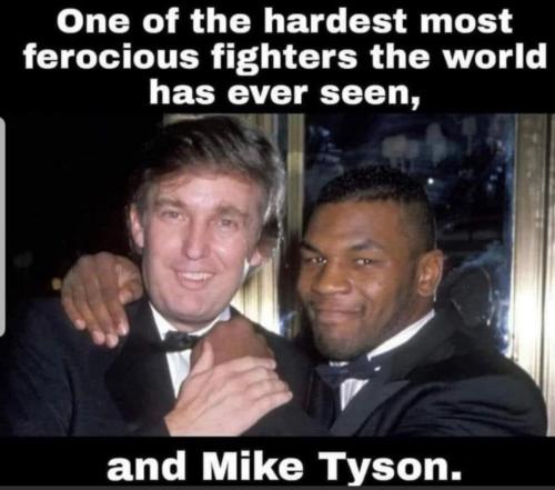 Screenshot_20240221-014331_MeWe