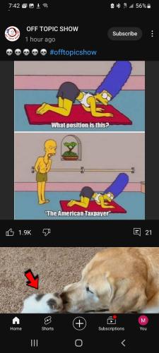 Screenshot_20240227-194254_YouTube