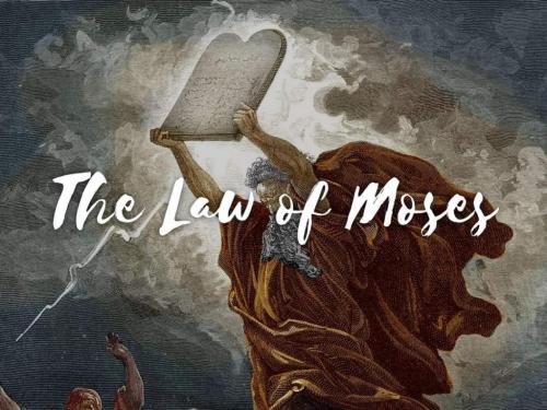 9fcea7b8-a62b-452f-83cd-d9eee7ae8e4a