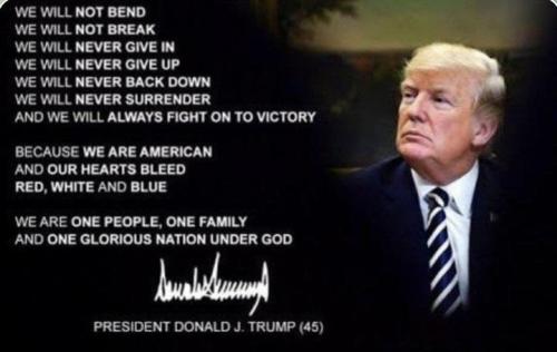 sngine_b438c306ec348ee72c5867f2b0d033e0