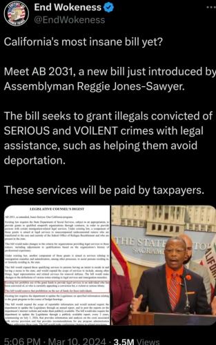 Illegal Invaders