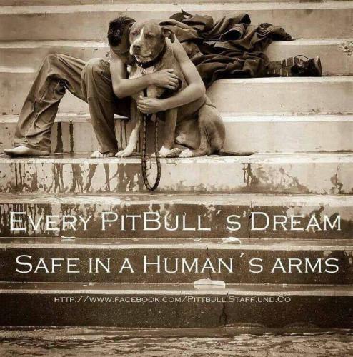 dea48ef461028e7dcdb4956dc1a214f9