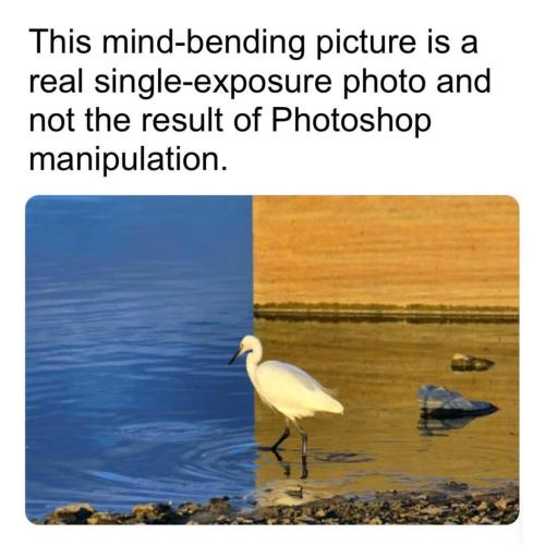 4c0021ce-cbec-44ba-bc64-04ae40dd440f