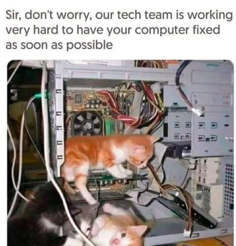 432922054_122133670274161538_6548333982390528853_n