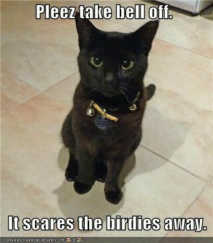 eeffc370b222476f34c1f8ea128becd6