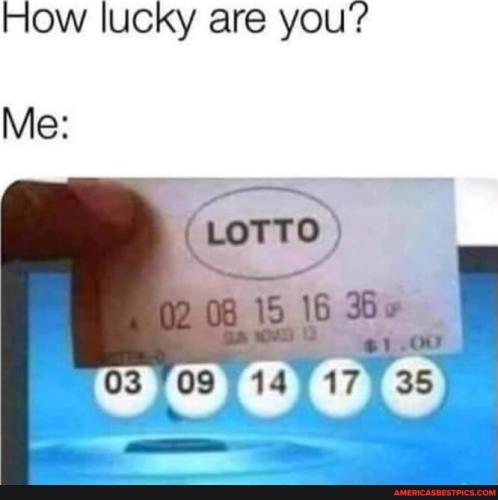 98f94b88d276c7047e6874ec14994c9e287ccaecf8f738a4bb4319d797ecb5b1_1